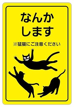 【本日引き取り予定者有り】購入禁止 トラック718は詐欺ですか？ : r/Scams
